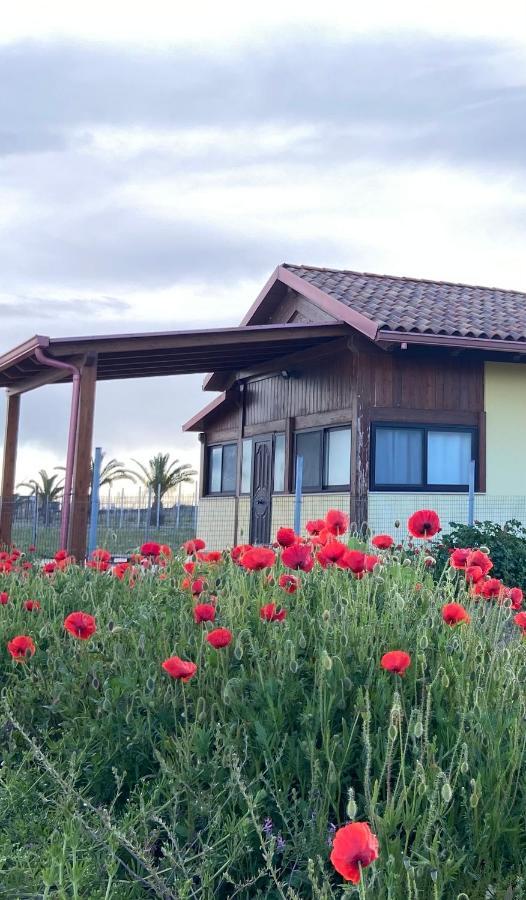Spiaggia Le Dune Residence Margherita Di Savoia Eksteriør billede